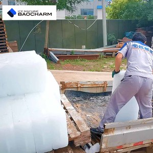 Baocharm quy mô lớn năng lực sản xuất hoàn toàn tự động Khối Máy Làm Đá để bảo quản thực phẩm - Product Image 2