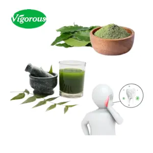 pure natural 10:1 & 20:1 neem leaves powder / neem leaf powder