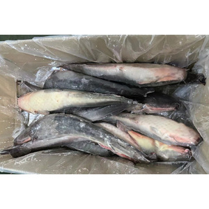Monstre de la pêche : Poisson-chat noir entier congelé en gros, provenant de l'élevage, pour l'exportation - Product Image 4