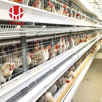 Cage à poulets de chair de type H, cage automatique à 4 niveaux avec sol en plastique, courroie de fumier, mangeoire et abreuvoir à tétine pour poulets de chair, OEM
