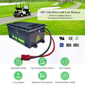 Paquete de baterías de carrito de golf de iones de litio CTS 48V 72V 36V 100Ah 200Ah para coches de baja velocidad y carritos de golf - Product Image 2