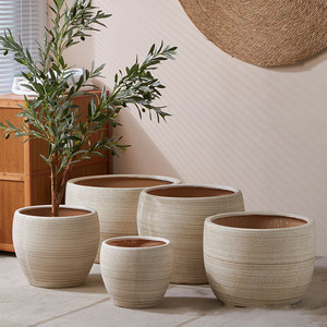 Maceta de Cerámica de Diseño Minimalista y Adorno de Piso con Planta en Maceta para Decoración del Hogar - Product Image 2