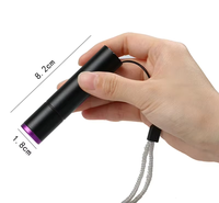 Lampe torche UV avec filtre noir et faisceau UV pur pour la détection des taches, l'inspection de la propreté et l'exploration en extérieur
