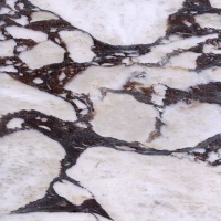 Calacatta Viola