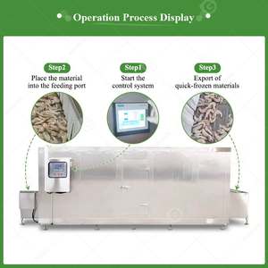 Ammoniac 500 kg/H Plaque Frozen Tunne Belt Fluidisé Icecrem <span class=keywords><strong>Le</strong></span> <span class=keywords><strong>plus</strong></span> <span class=keywords><strong>petit</strong></span> Tunnel de refroidissement Iqf Crevettes Congélateur en spirale - Product Image 6