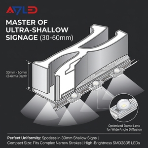 IP67 Waterproof protection with Injection process, providing extreme durability in outdoor wet areas <b>Mini</b> <b>LED</b> module - Product Image 2