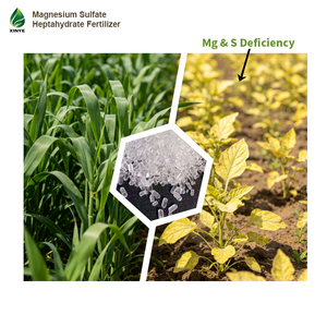 Fertilizante para Plantas, Sulfato <span class=keywords><strong>de</strong></span> <span class=keywords><strong>Magnesio</strong></span> Heptahidratado, Número CAS 10034-99-8 Sal <span class=keywords><strong>de</strong></span> Epsom <span class=keywords><strong>Soluble</strong></span> en Agua que Aumenta el Rendimiento - Product Image 2