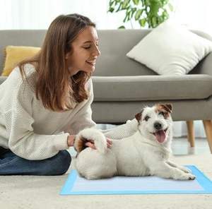 แผ่นรองซับฉี่สัตว์เลี้ยงแบบใช้แล้วทิ้ง คุณภาพสูง ขายส่งจากโรงงาน ซึมซับดีเยี่ยม ผลิตจากเยื่อฟลัฟฟ์ มีตัวอย่างฟรี รับผลิตแบบ OEM - Product Image 3