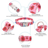 Collier pour chien Kingtale, luxe moderne, personnalisé, en sangle de nylon souple avec boucle en métal durable