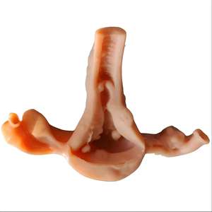 Module laparoscopique d'obstétrique et de gynécologie bionique - Outil de formation pour les compétences de coupe, de dissection et de suture <span class=keywords><strong>utérine</strong></span> - Product Image 2