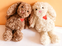 Peluche Lapin Cœur pour la Saint-Valentin - Jouets en Peluche Lapin Doux en Couleurs Assorties, Idéal pour les Cadeaux et le Jeu