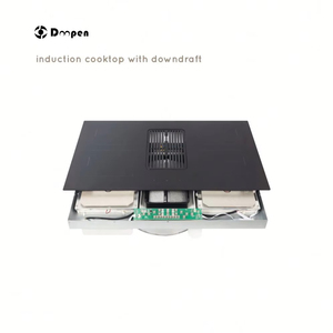 เตาเหนี่ยวนำไฟฟ้าสีดำพร้อมพัดลมและตัวกรองระบายแบบดาวน์ดราฟ - Product Image 1