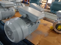 Moteur asynchrone à induction monophasé à double condensateur série ML 0,18 kW 1500 tr/min, bobinage 100 % cuivre, IP54, étanche à la condensation, 220 V