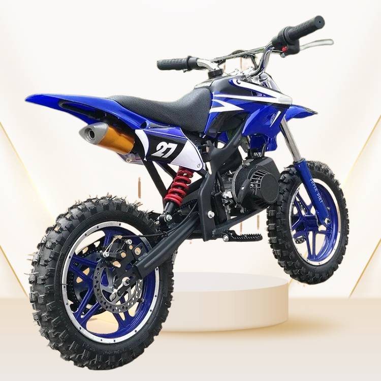 Schlussverkauf 49-Zoll-Dirtbike klein Apollo-Pitbike