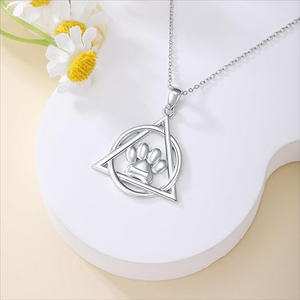 गर्म बिक्री S925 स्टर्लिंग सिल्वर नेकलेस थेरियन प्रतीक पंजा महिलाओं के लिए गहने - Product Image 4