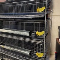 Cage à Cailles Verticale à Cinq ou Six Niveaux, Cage d'Élevage de Cailles à 6 Niveaux et 12 Emplacements