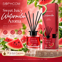Diffuseur de parfum d'ambiance en verre avec bâtonnets en fibre, décoration aromatique pour la maison, vente en gros, fabricant, emballage personnalisé avec logo