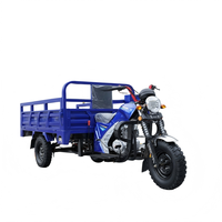 Tricycle cargo à essence 200cc à trois roues, carrosserie ouverte, capacité de charge 1000kg, 50-70km/h, démarrage électrique/à manivelle - Vente en gros
