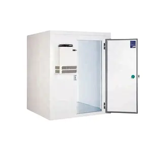 仓库室Froide集装箱移动冷藏室冰箱冷冻室R404A水果冷冻室制冷设备