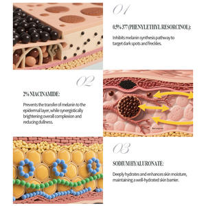 Suero Personalizado <span class=keywords><strong>con</strong></span> 0.5% de Feniletil Resorcinol para Aclarar y Desvanecer Manchas Oscuras <span class=keywords><strong>con</strong></span> 2% de Niacinamida - Product Image 3