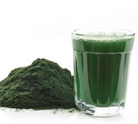Poudre de spiruline de qualité alimentaire 60% protéines Halal Casher en vrac Poudre d'algues vertes pour complément alimentaire