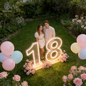 Numéros LED néon en acrylique de 2 et 3 pieds, Décoration d'anniversaire 10 ans, Enseigne néon pour décorations de fêtes d'anniversaire 18, 2, 15, 21, 10 ans - Product Image 6