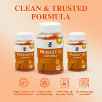 Gummies Probiotiques Haute Puissance OEM d'Usine, Bactéries Actives pour le Bien-être Intestinal, Bonbons Mous, Logo Personnalisé