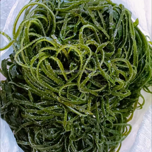Algues fraîches congelées algues salées organiques naturelles varech Kombu Laminaria Japonica tranche de varech 2-3MM prix usine certifié HACCP - Product Image 5