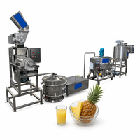 Commerciële productielijn voor fruit- en groentesappen, apparatuur voor de verwerking van tomaten- en ananassap voor drankenfabrieken