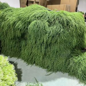 <span class=keywords><strong>Venta</strong></span> al por mayor de plantas artificiales de aspargos y helechos, estilo bosque, de plástico, para arreglos florales de boda al aire libre. - Product Image 2
