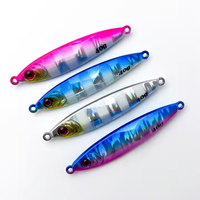 OEM CHAUDE 40g 60g 3D Leurre de pêche au bar en tungstène Off Shore Long Cast Tungsten Jigs Leurre