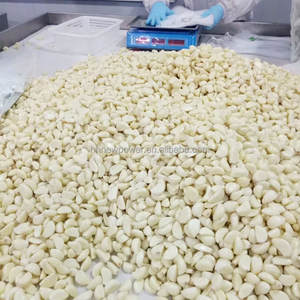 Nouvel équipement automatique de transformation de l'ail en poudre, machine à faire de la pâte d'ail fraîche, ligne de production de purée d'ail - Product Image 3