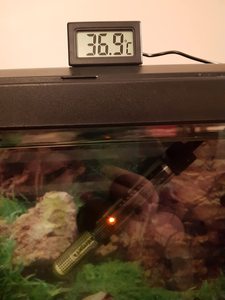 Mini thermomètre numérique LCD pour reptiles TPM-10, pour la maison, la température de la pièce, thermomètre électronique numérique d'intérieur - Product Image 5