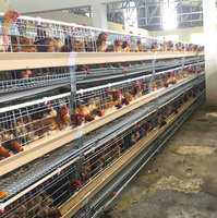 Vente en gros d'œufs Cage pour poules Cages pour poules en batterie 3/4 étages 60/80 oiseaux Type h Cage pour poules pondeuses pour ferme avicole