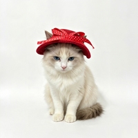 Chapeau d'été en maille pour animaux de compagnie, avec nœud en ruban à pois, sangle de cou réglable, casquette de soleil pour chaton et chiot, idéal pour la photographie en extérieur