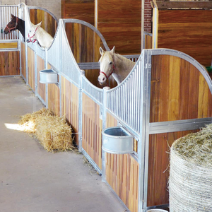 Establo de caballos asequible, Frente deslizante con parte inferior a la parrilla para la mejor ventilación, alimentador giratorio, ventana socializadora que se puede abrir - Product Image 4