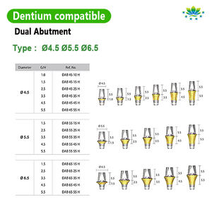 Nha sĩ siêu dòng Titan abutment chuyển kép & xi măng giữ lại abutment cho phòng thí nghiệm nha khoa OEM ODM tùy chỉnh dịch vụ 24h tàu - Product Image 2