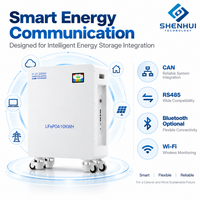 Batterie de stockage solaire 51,2 V 200 Ah LiFePO4 au lithium avec BMS intelligent CAN RS485 pour solution énergétique domestique