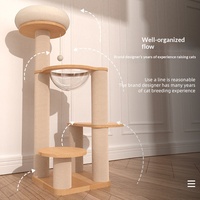 Arbre à chat populaire de style nordique avec balles suspendues interactives et poteau en sisal robuste – Mobilier pour chat pour usage quotidien en intérieur