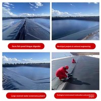 Géomembrane PE pour bassins piscicoles, aquaculture, revêtements de décharges – Feuille plastique noire anti-fuite personnalisable
