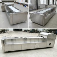 Automatische verwijderaar voor rozelle-olijfpitten, zaad- en kernverwijderaar, ontpitmachine voor verse dadelpitten