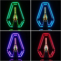Présentoir LED rechargeable en métal pour bouteilles de champagne, idéal pour les soirées, événements et boîtes de nuit