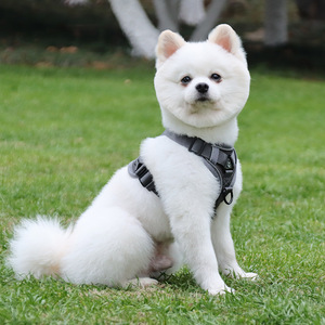 Small <b>dog</b> <b>leash</b>, vest-style harness, <b>dog</b> walking <b>leash</b> for small and medium-sized <b>dogs</b> such as Bichon Frise, Teddy, and - Product Image 3