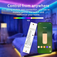 Contrôleur de bande LED RGB CW Bilihondim Matter 1 canal, compatible Google Assistant, 24/12V, couleurs complètes, contrôle sans fil, économie d'énergie
