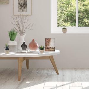 Commercio all'ingrosso misto di piante succulente artificiali Set di plastica finto <span class=keywords><strong>Cactus</strong></span> e fiori per la decorazione verde dell'home Office - Product Image 3