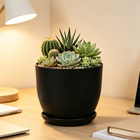 Ensemble de pots de fleurs en plastique PP durable de 5,9 pouces avec trou de drainage, design minimaliste, capacité de 1,56 L pour une utilisation intérieure/extérieure, bureau à domicile