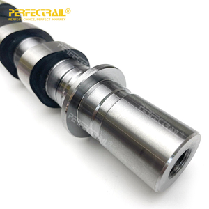 PERFECTRAIL 8200100527 8200100528 Ricambi Auto Originali, Albero a Camme di Aspirazione e Scarico per Renault Clio, Megane, <span class=keywords><strong>Duster</strong></span>, Kangoo - Product Image 6