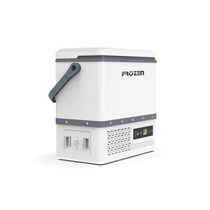 Nuovo Design portatile 12V frigorifero auto Cooler Box 12L campeggio all'aperto frigo Freezer <span class=keywords><strong>per</strong></span> camion all'aperto - Product Image 2
