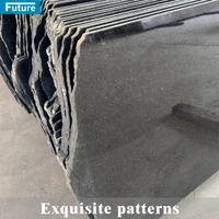 Prix le moins cher prix bas noir Galaxy granit Abosute granit noir Inde granit noir pour projet de décoration d'escalier