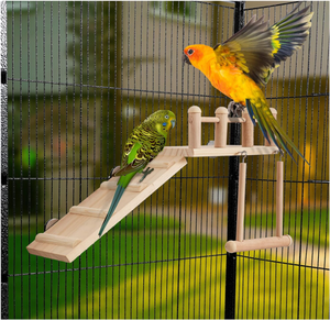 Columpio de plataforma de Hábitat de Aves de venta directa de fábrica <span class=keywords><strong>con</strong></span> <span class=keywords><strong>escalera</strong></span>, accesorios de jaula de periquitos juego de madera gimnasio ejercicio resistente - Product Image 3